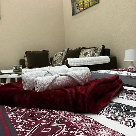 Apartment Downtown ポドゴリツァ エクステリア 写真