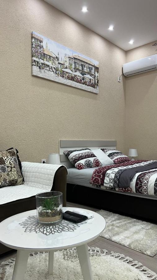 Apartment Downtown ポドゴリツァ エクステリア 写真