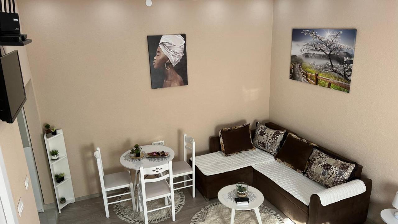 Apartment Downtown ポドゴリツァ エクステリア 写真