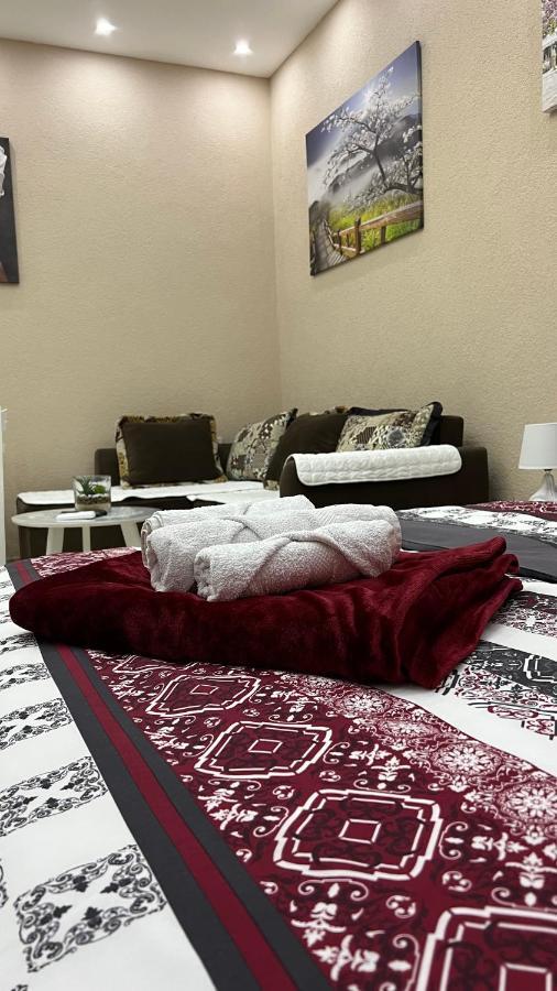 Apartment Downtown ポドゴリツァ エクステリア 写真